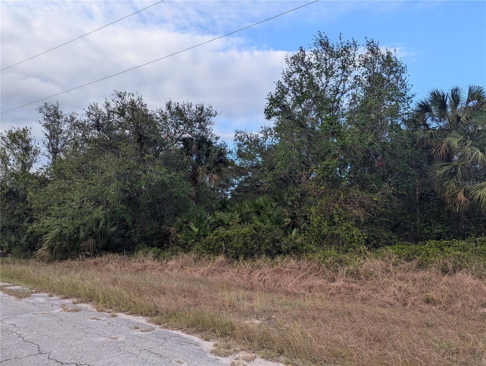 PORT CHARLOTTE SUB 44 - Land