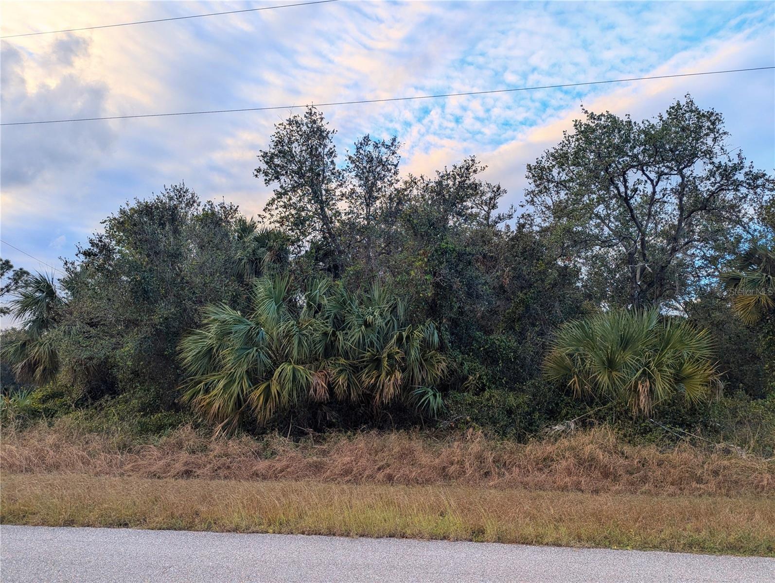 PORT CHARLOTTE SUB 44 - Land