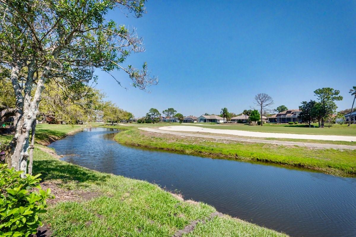 WEDGEWOOD AT SPRUCE CREEK - Residential