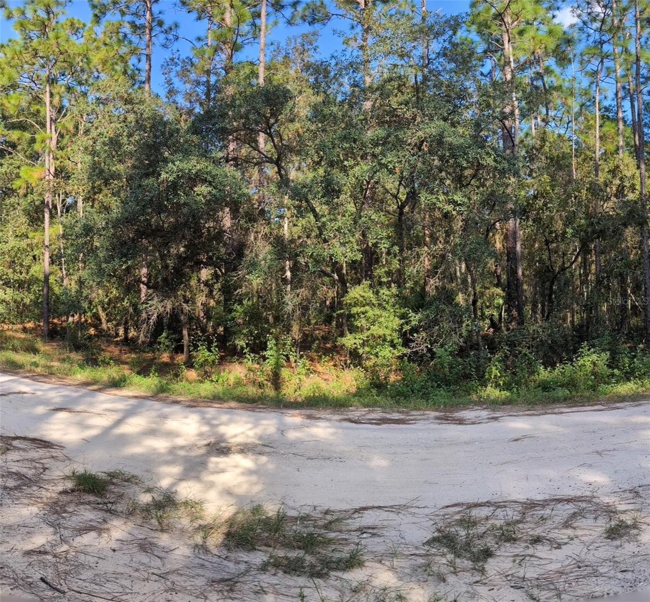 ROLLING HILLS UN FIVE - Land