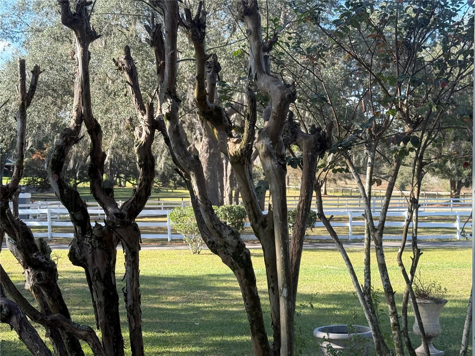 RODRIQUEZ GRANT - Residential