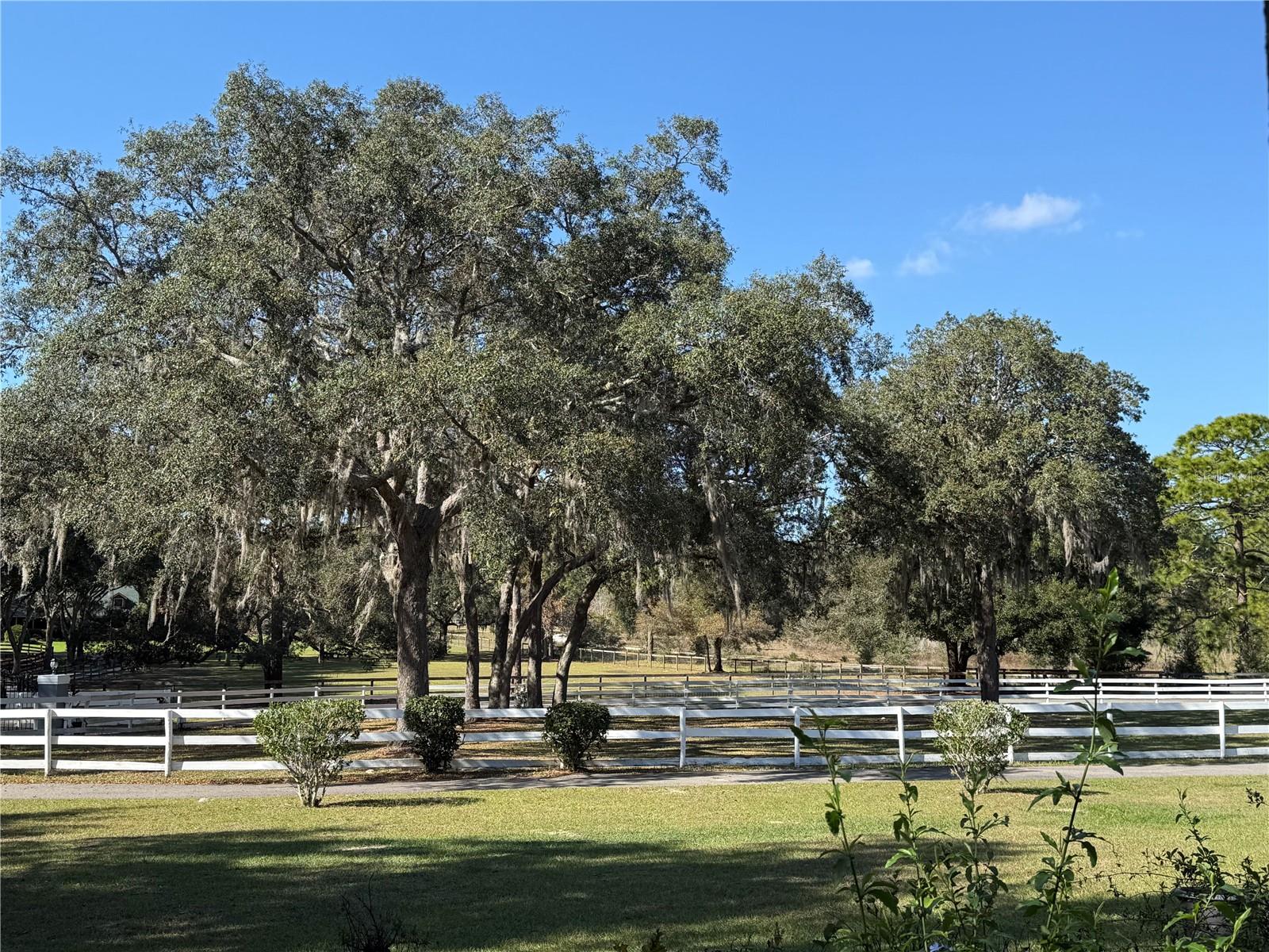 RODRIQUEZ GRANT - Residential