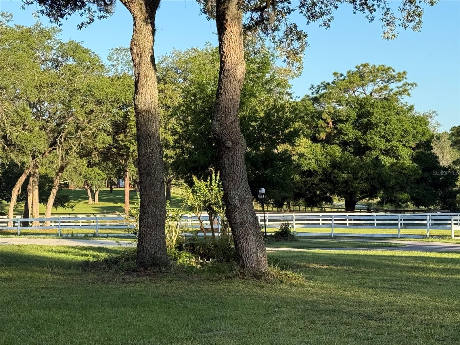 RODRIQUEZ GRANT - Residential