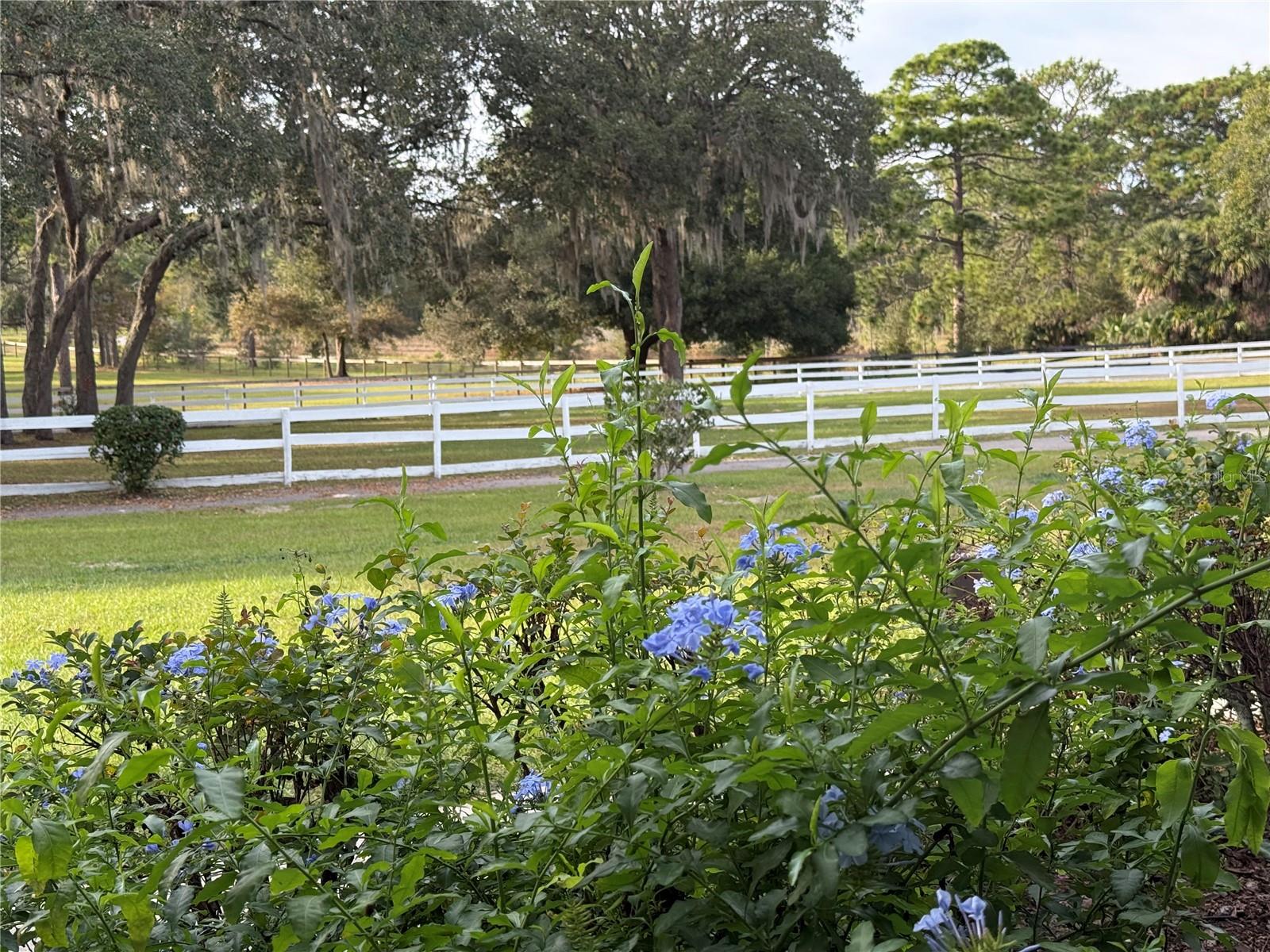 RODRIQUEZ GRANT - Residential