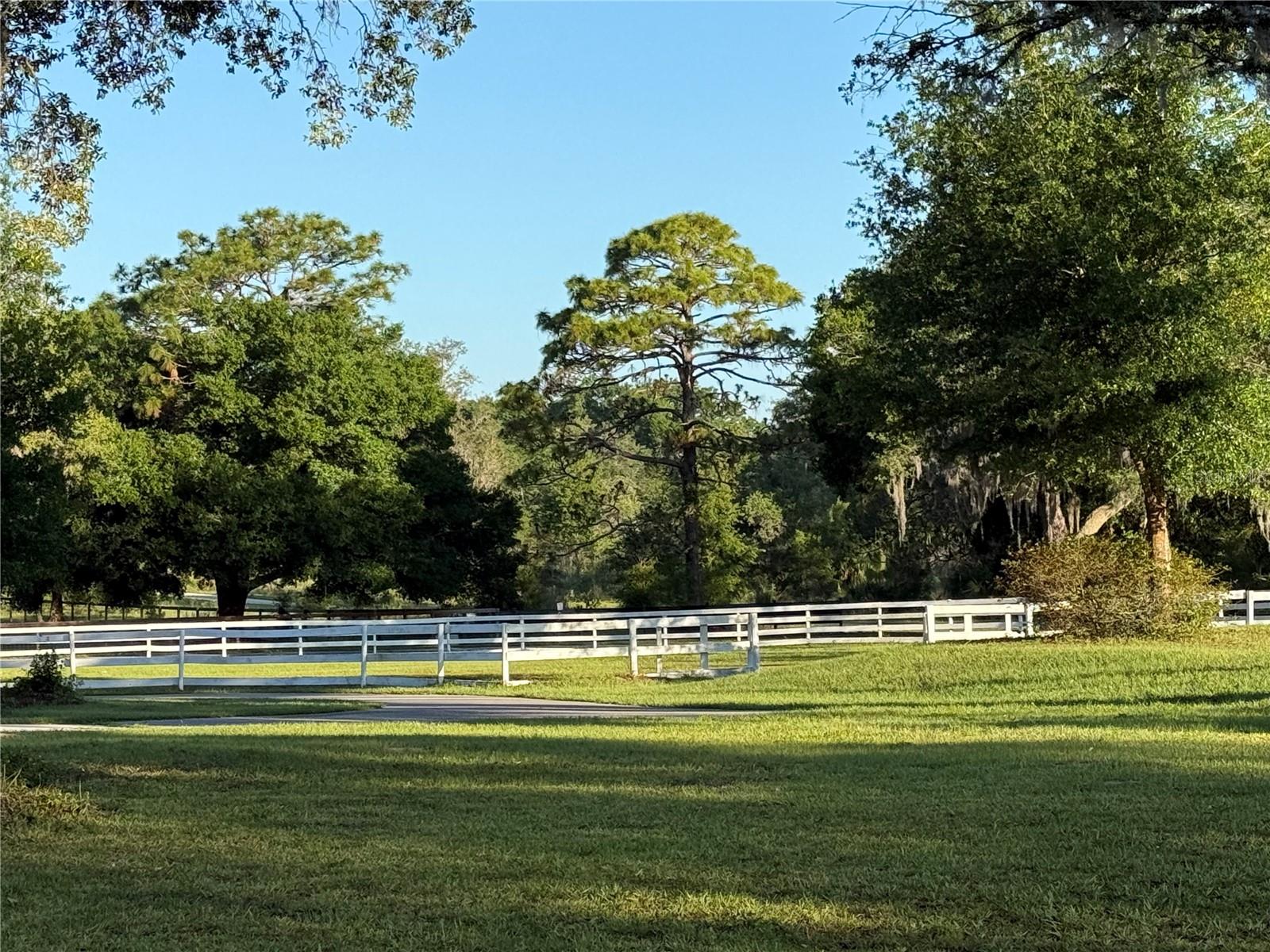 RODRIQUEZ GRANT - Residential
