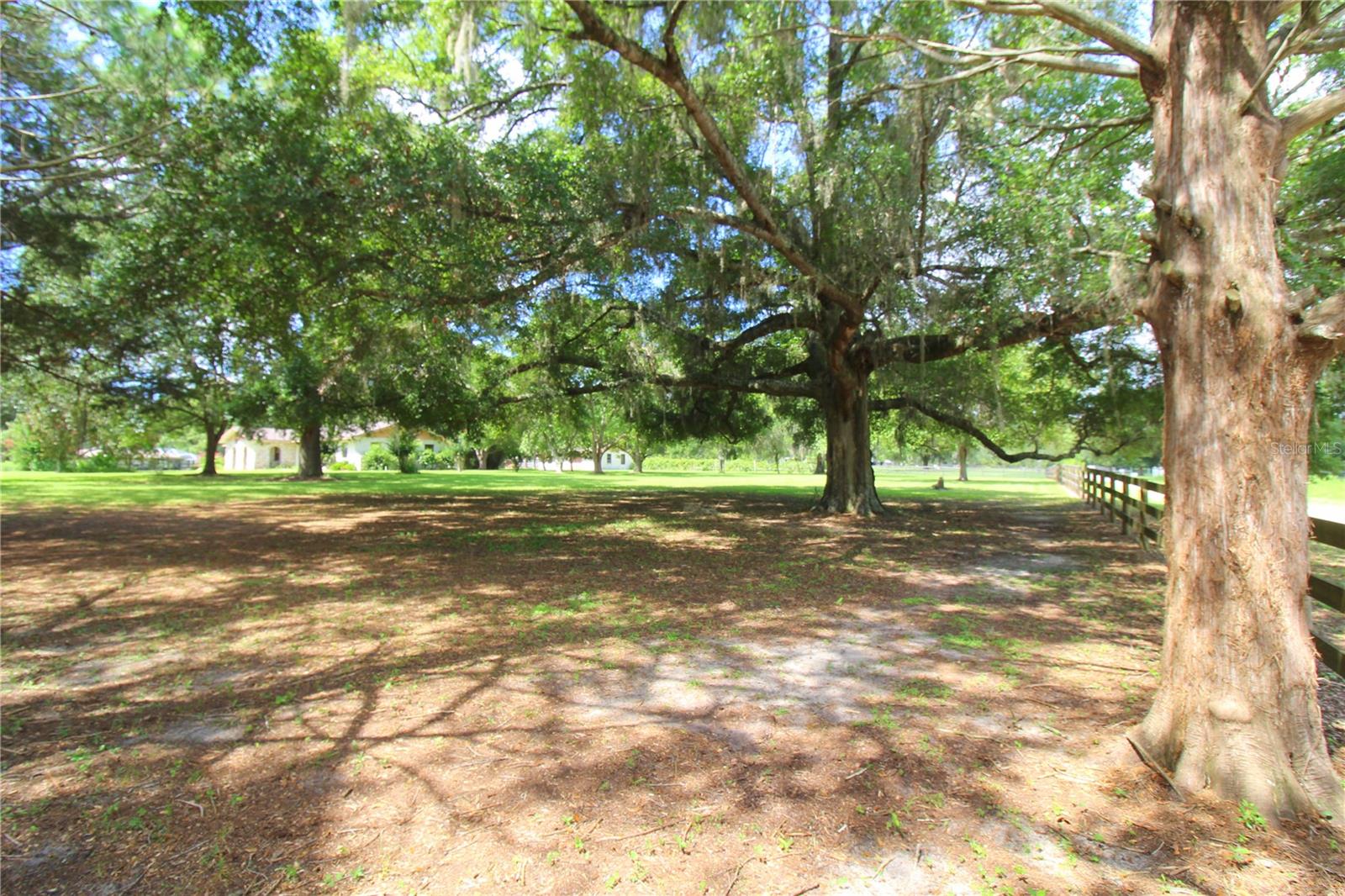 GREEN TURF ACRES - Residential