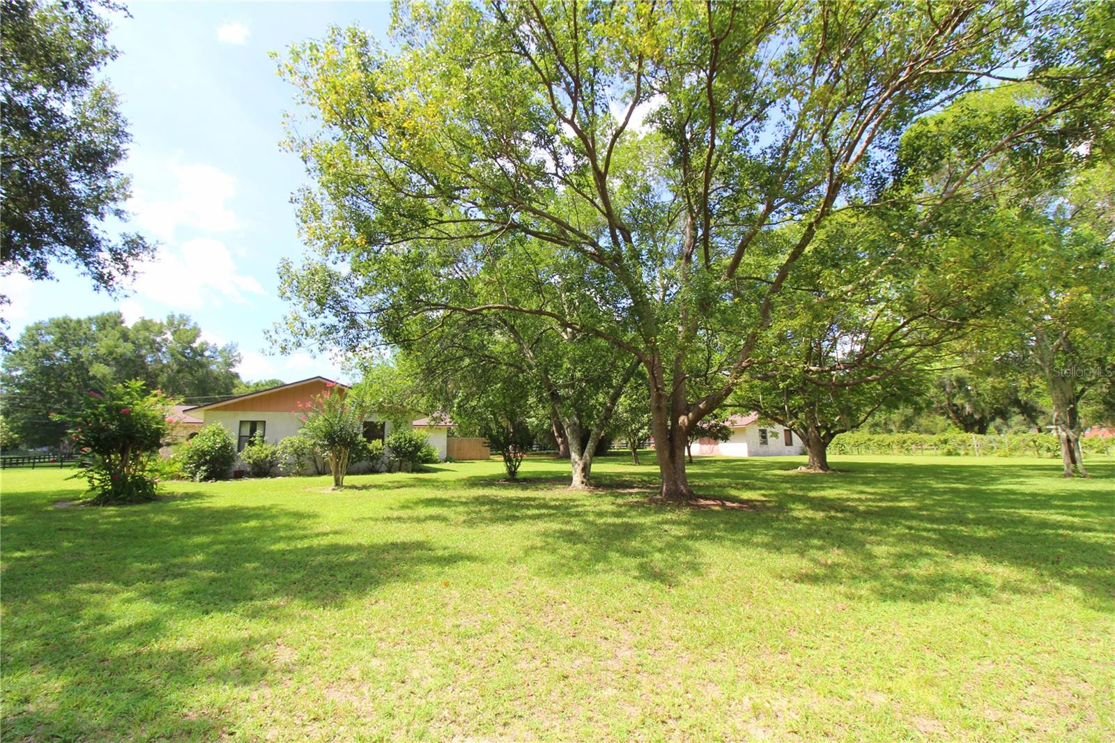 GREEN TURF ACRES - Residential