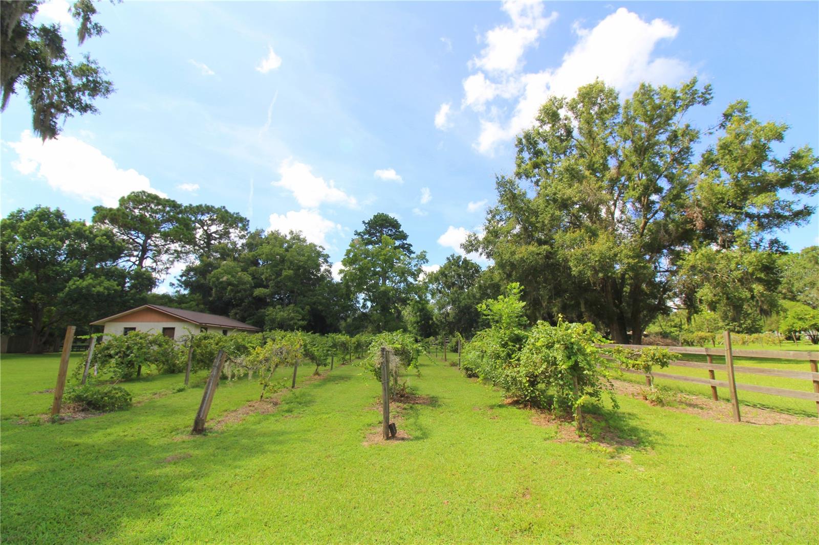 GREEN TURF ACRES - Residential