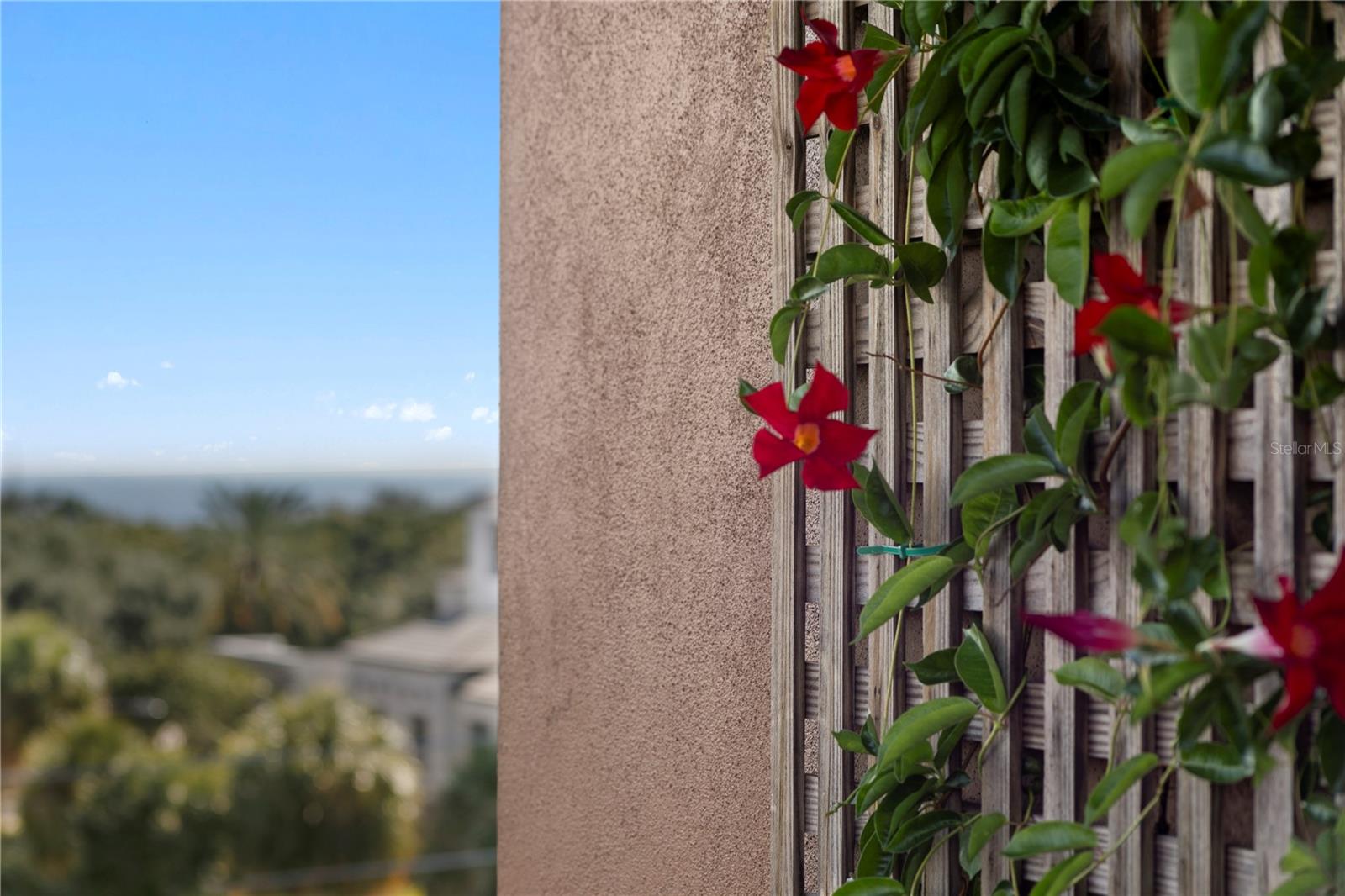 TOWNS ON FIFTH - Residential