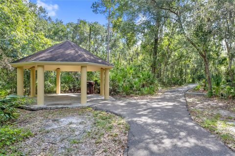 A home in LITHIA