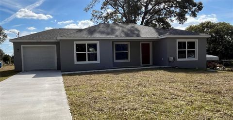 A home in BELLEVIEW