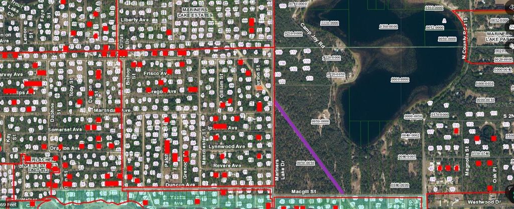 Photo of 9 Burton Street, Interlachen, FL 32148 (MLS # A4670512)