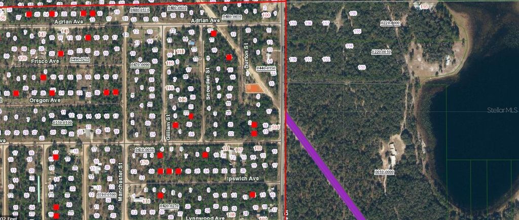 Photo of 9 Burton Street, Interlachen, FL 32148 (MLS # A4670512)