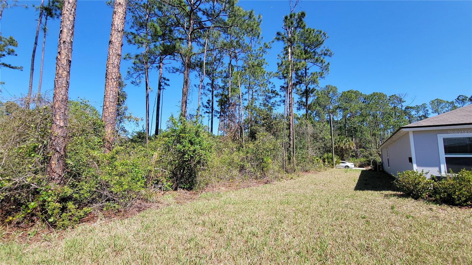 PALM COAST SEC 29 - Residential