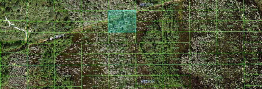 Here is your opportunity to own 2.05 acres  located in Polk County, Florida!