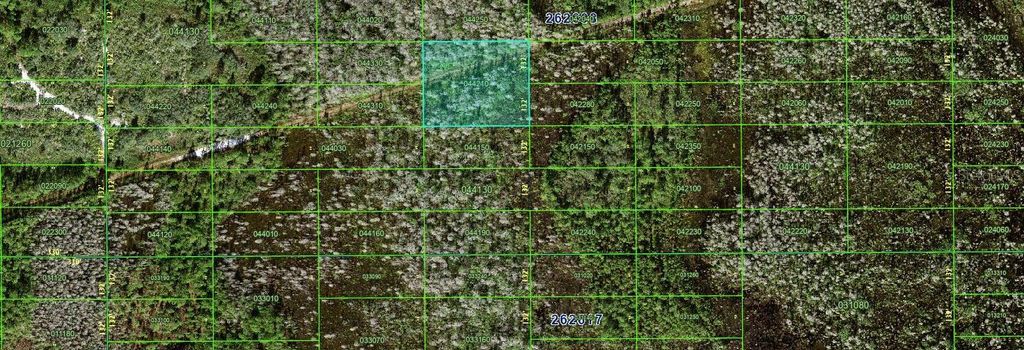 Photo of N/A, Polk City, FL 33868 (MLS # FC306961)