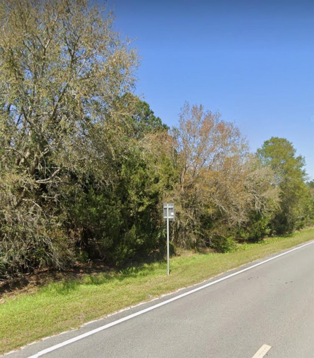 PRICE REDUCTION! OWNER SAYS LETS GET THIS PROPERTY SOLD! This acre of land is located just past Water Oak Road on 2006 and within 1/2 mile of Bull Creek Fish Camp and 14 miles to Bunnell. There is lot's of excitement coming to St. John's Park. Bull Creek is a county owned park and will have a new restaurant, camp sites and amenities once completed. Lot features some majestic oaks and is waiting on you to make it your new home or investment property.
