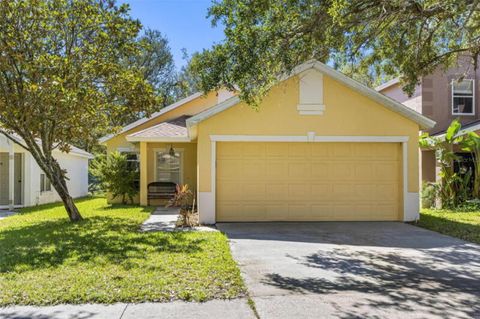 A home in LITHIA