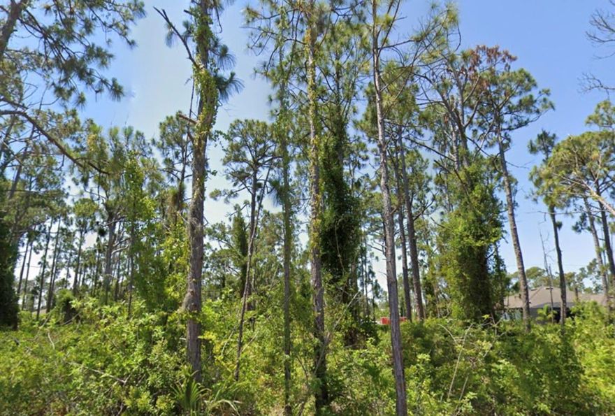 BUILD your DREAM HOME in PARADISE on Naylor Ave in the boating community of highly desirable South Gulf Cove. This Prime location is all set with utilities ready to Build your HOME! South Gulf Cove, a deed restricted community, is a fast growing community offering Parks, Playgrounds, sidewalks, and a Public Boating Ramp with access to Charlotte Harbor and the Gulf of America. The Home Owners' Association (optional membership) gives access to South Gulf Cove Park. Nearby shopping, golf, dining, fishing, and the pristine beaches on Boca Grande and Manasota Key, make this the ideal place to build your home in PARADISE!