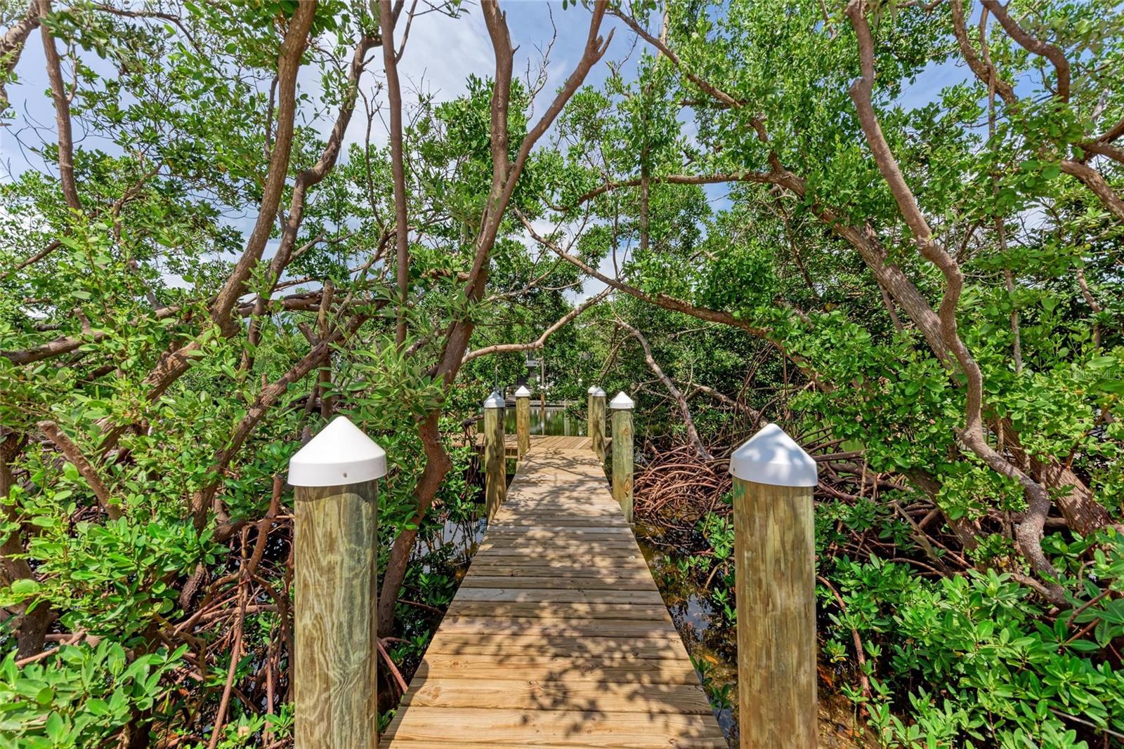 ISLAND CEDARS - Residential