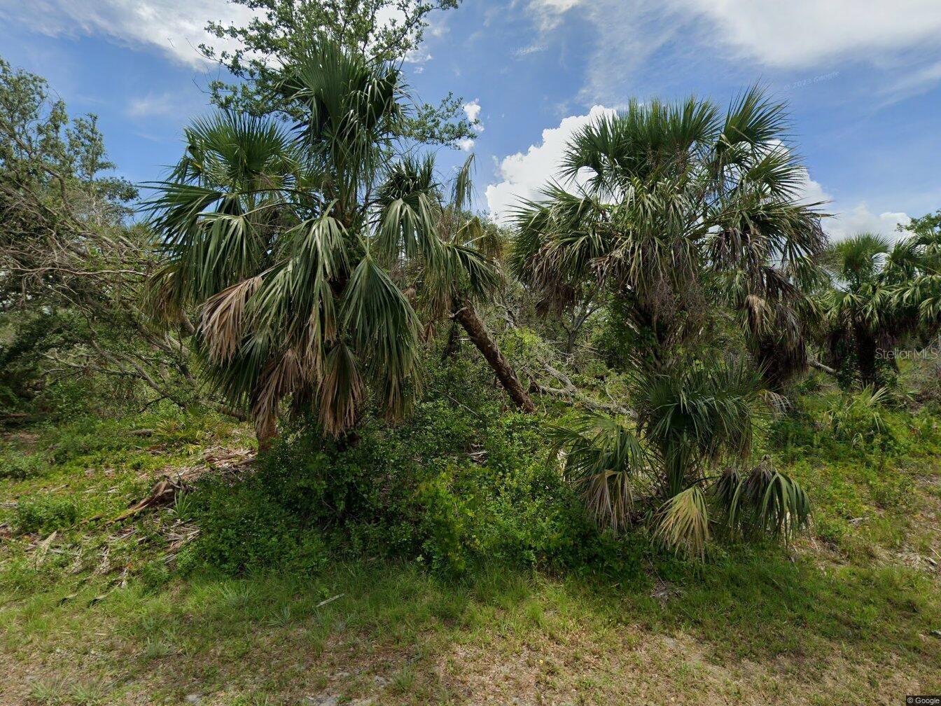 Listing image 8