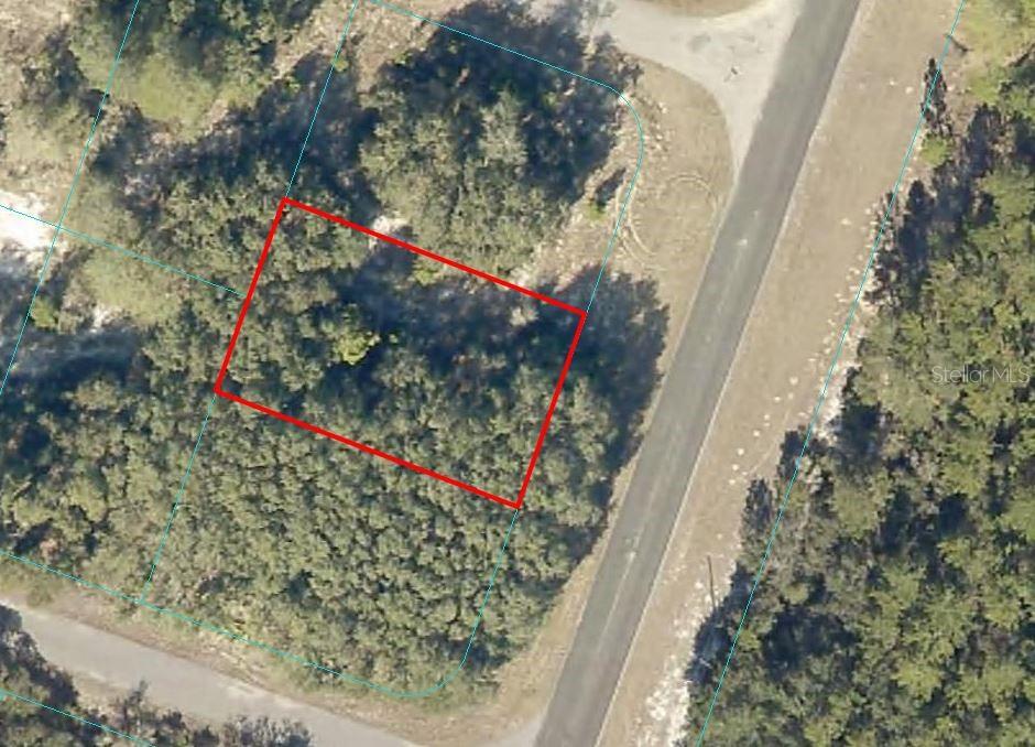 SILVER SPRINGS SHORES - Land