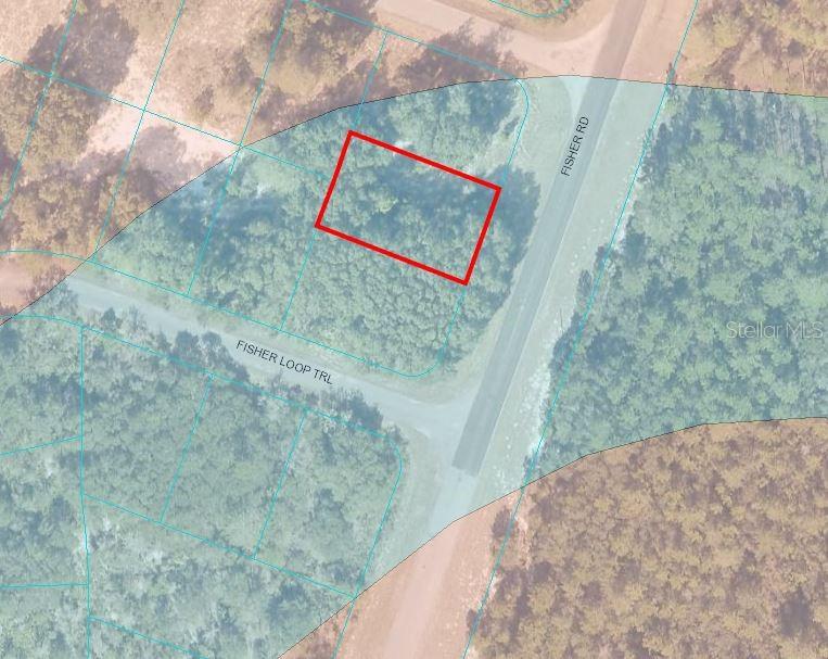 SILVER SPRINGS SHORES - Land