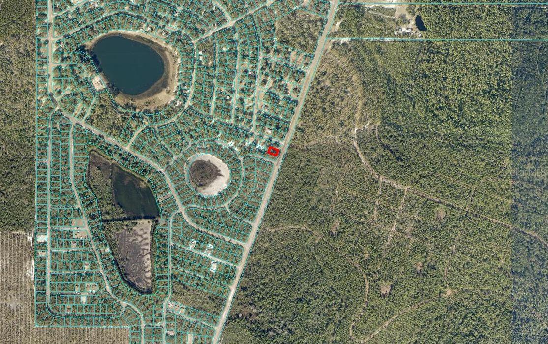 SILVER SPRINGS SHORES - Land