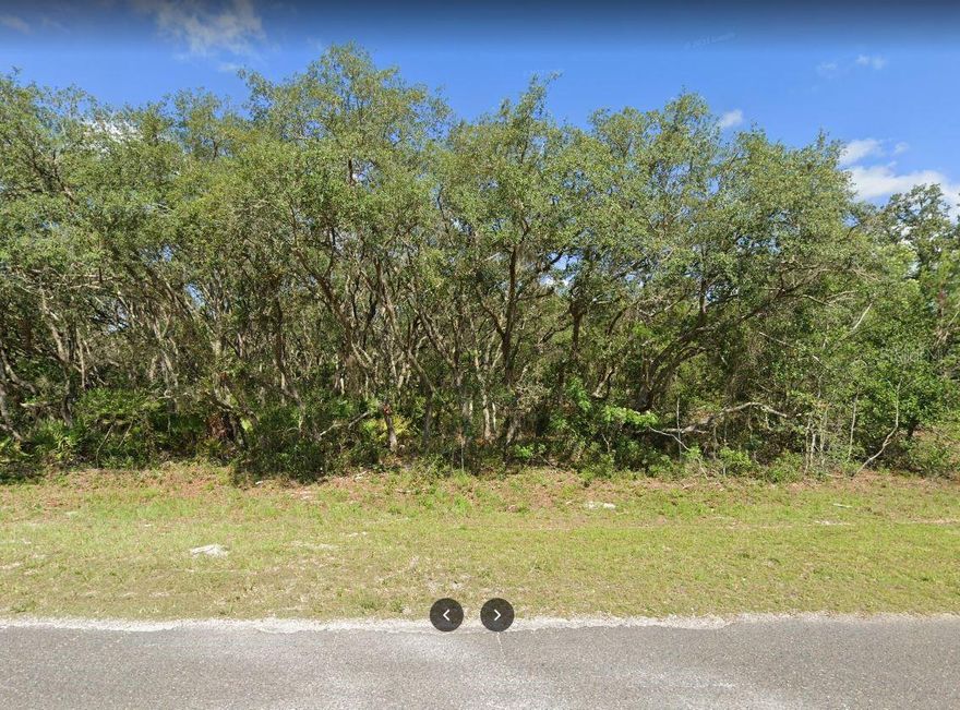 Come build your home here!!! Paved roads and no HOA. Ocklawaha is home to the famous Lake Weir, Silver Springs and the Ocklawaha River. Property is near Moss Bluff with a public boat ramp. There are multiple springs, hiking, camping, off-road vehicle and ATV trails, and horse trails within driving distance. Restaurants nearby include Gator Joe's and The Dam Diner. Horse trails and miles of Ocala National Forest trails are easily accessible. Grocery store and pizza chains are within a 10-minute drive. 25 minutes to Ocala or The Villages.