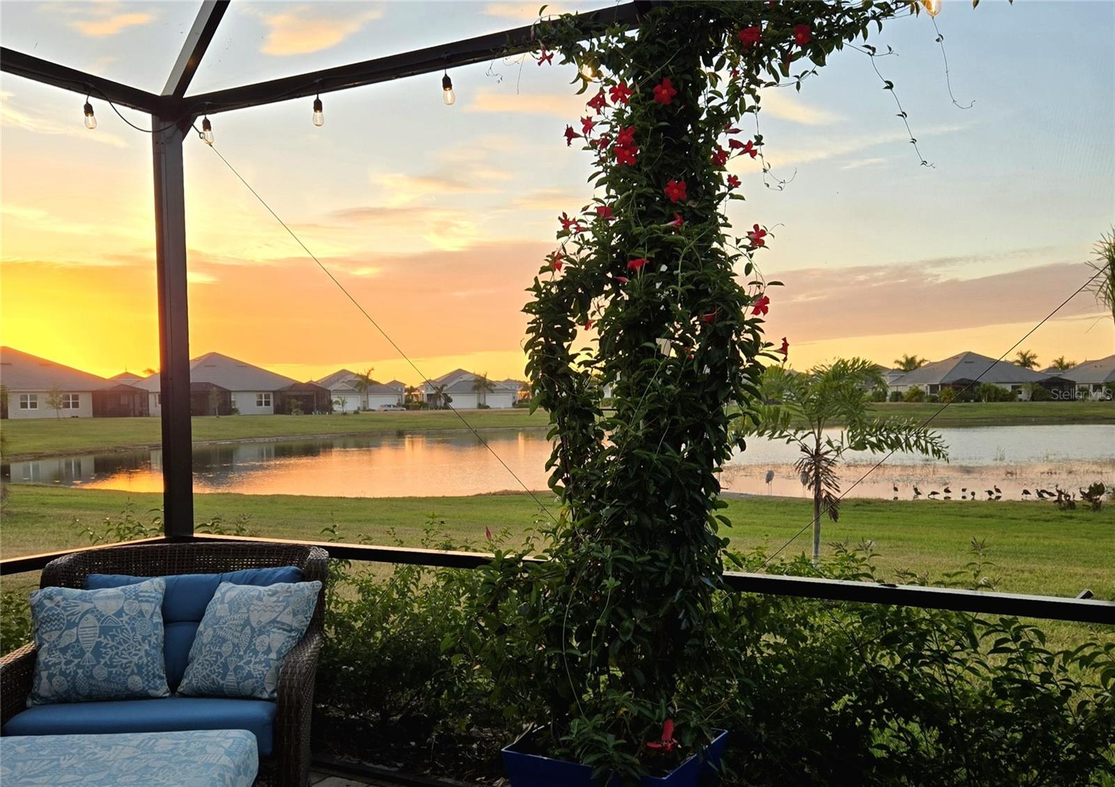 WATERCOLOR PLACE - Residential