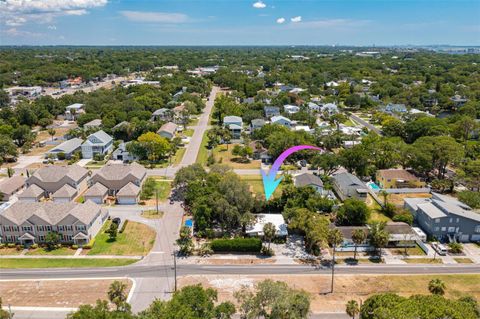 A home in PALM HARBOR