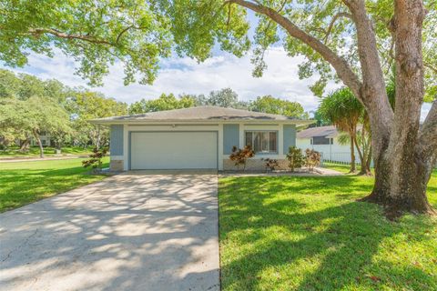 Photo of 13016 Club Drive, Hudson, FL 34667 (MLS # TB8437276)