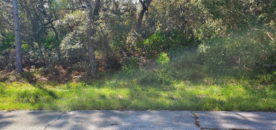 Don't miss out! Priced right. Beautiful homesite, over 1/3 of an acre. Buy and hold for future investment. Located in the fast-growing community of Poinciana. Call and see today.