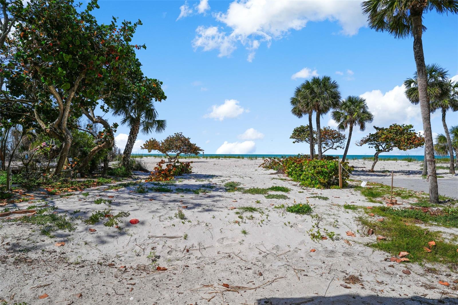 MITCHELLS BEACH REV - Land