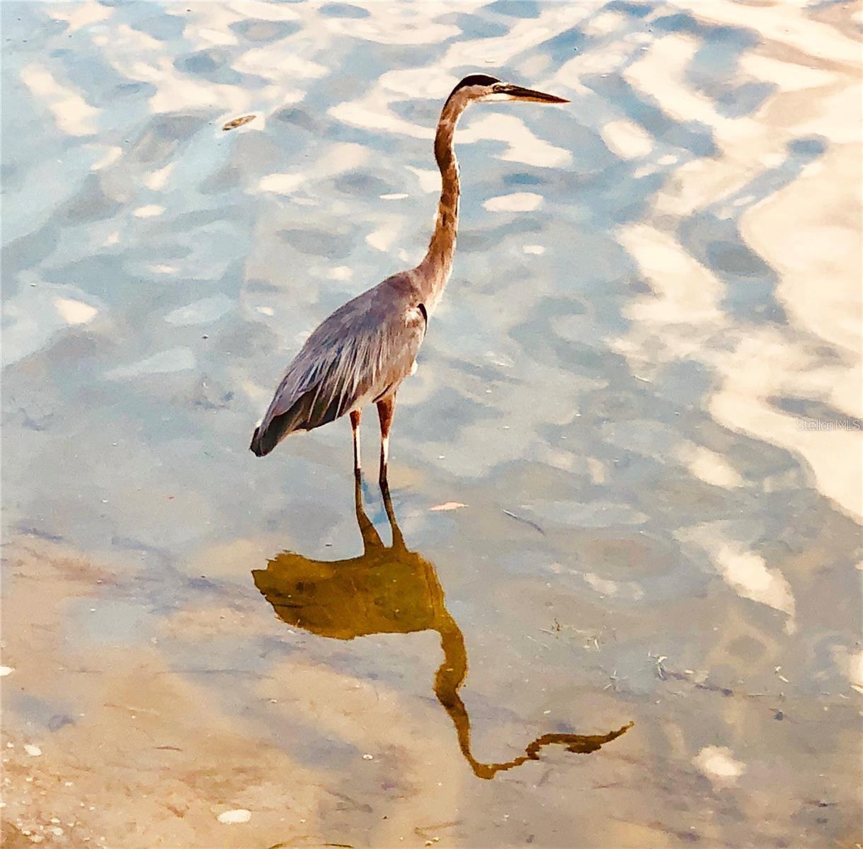 HARBOURSIDE CONDO - Residential