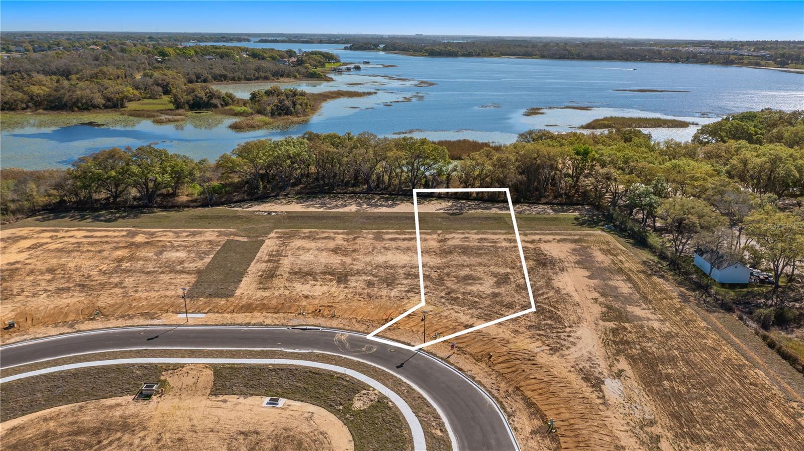 MARIGOLD BELLE CIRCLE