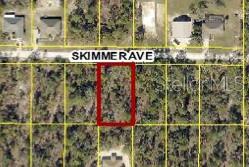 Photo of 12092 Skimmer Avenue, Weeki Wachee, FL 34614 (MLS # W7888018)