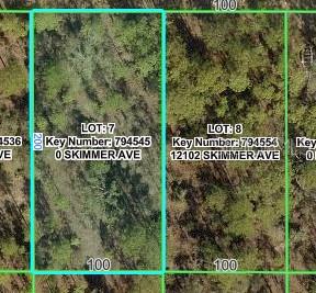 Photo of 12092 Skimmer Avenue, Weeki Wachee, FL 34614 (MLS # W7888018)