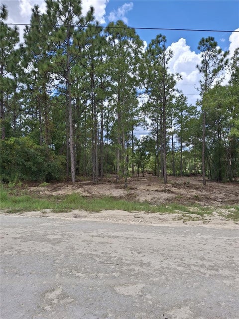 Photo of 14167 Condor Road, Weeki Wachee, FL 34614 (MLS # TB8546061)