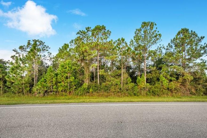 This property at 2.17 acres of 150 x 630 homesite has already been environmentally studied, Wetlands determination filed with the county and surveyed and ready to pull your building permits and start your dream home.  These reports come at a cost of over $3000 and are provided by the seller for the purposes of FULL DISCLOSURE.  

Here is another amazing opportunity in the Estate sized homesites of Wedgefield conveniently located on the East side of Orlando situated between Highway 50 and Highway 528.  This area features it's own K-8 School, and only minutes from East River High School.  It has necessity shopping of Family Dollar and 2 convenience stores and gas.  It is only 15 minutes from major shopping in Lake Nona or 20 minutes from Waterford Lakes, 35 minutes from world famous beaches, and theme parks and only 15 minutes to Orlando International Airport.  

The community features a golf course, and a 9600-acre natural preserve for camping, biking, horseback riding, or trail hiking. 

This property at 2.17 acres of 150 x 630 homesite has already been environmentally studied, Wetlands determination filed with the county and surveyed and ready to pull your building permits and start your dream home.  These reports come at a cost of over $3000 and are provided by the seller for the purposes of FULL DISCLOSURE.  

Represented by the only Accredited Land Consultant serving Wedgefield, we can assist with all of your builder questions and financing questions for the smoothest transition from land buyer to homeowner.  Just ask why we proudly call Wedgefield our home.  

The incredible beauty of Wedgefield for your future home is while very convenient the amenities, you are minutes from everything but still in the country feel and with no HOA and just some recorded deed restrictions with Orange County, you can enjoy a beautiful and peaceful lifestyle.  

This property is A-2 zoned allowing for a primary home, auxiliary dwelling unit for multigenerational living and an accessory building if you desire.