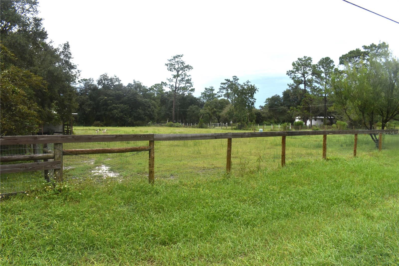 FLORIDA HLNDS TR 145 146 17 - Residential