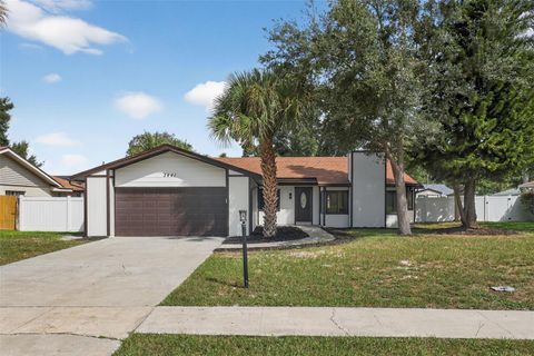 3441 CALGARY LANE MOUNT DORA FL 32757