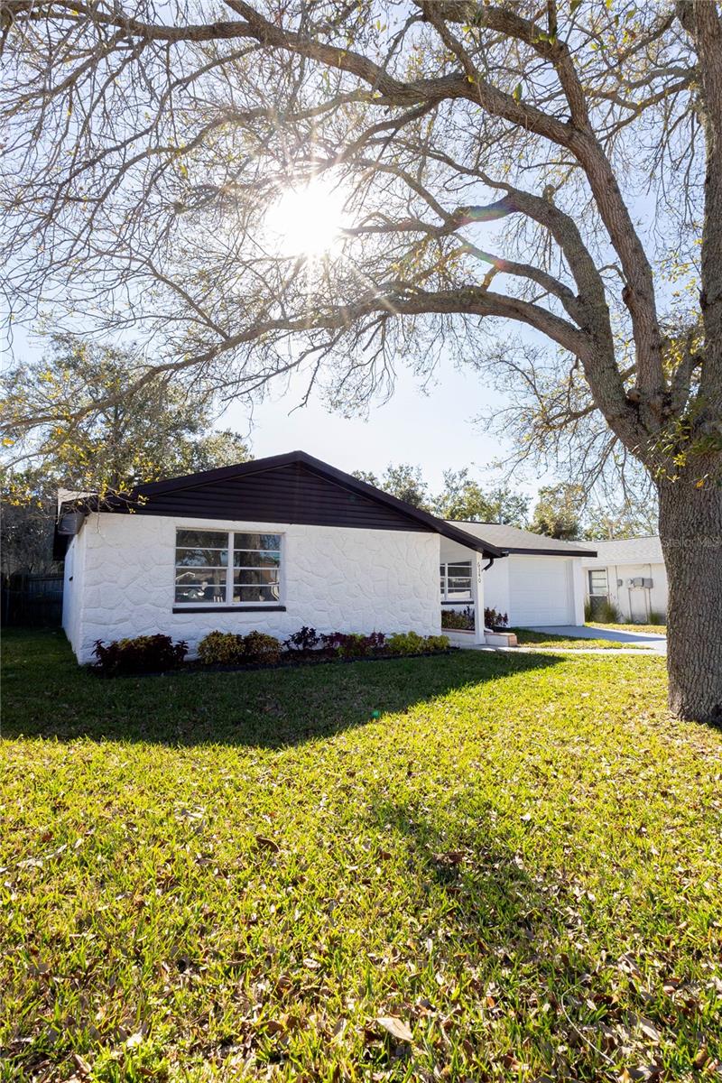 WEST PORT - Residential