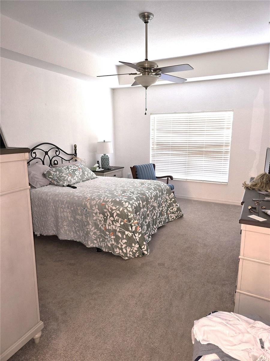 PALM GROVE - Residential
