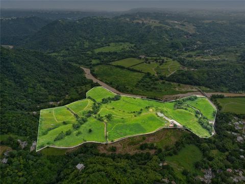 567 BARRIO SAN LORENZO MOROVIS  00687