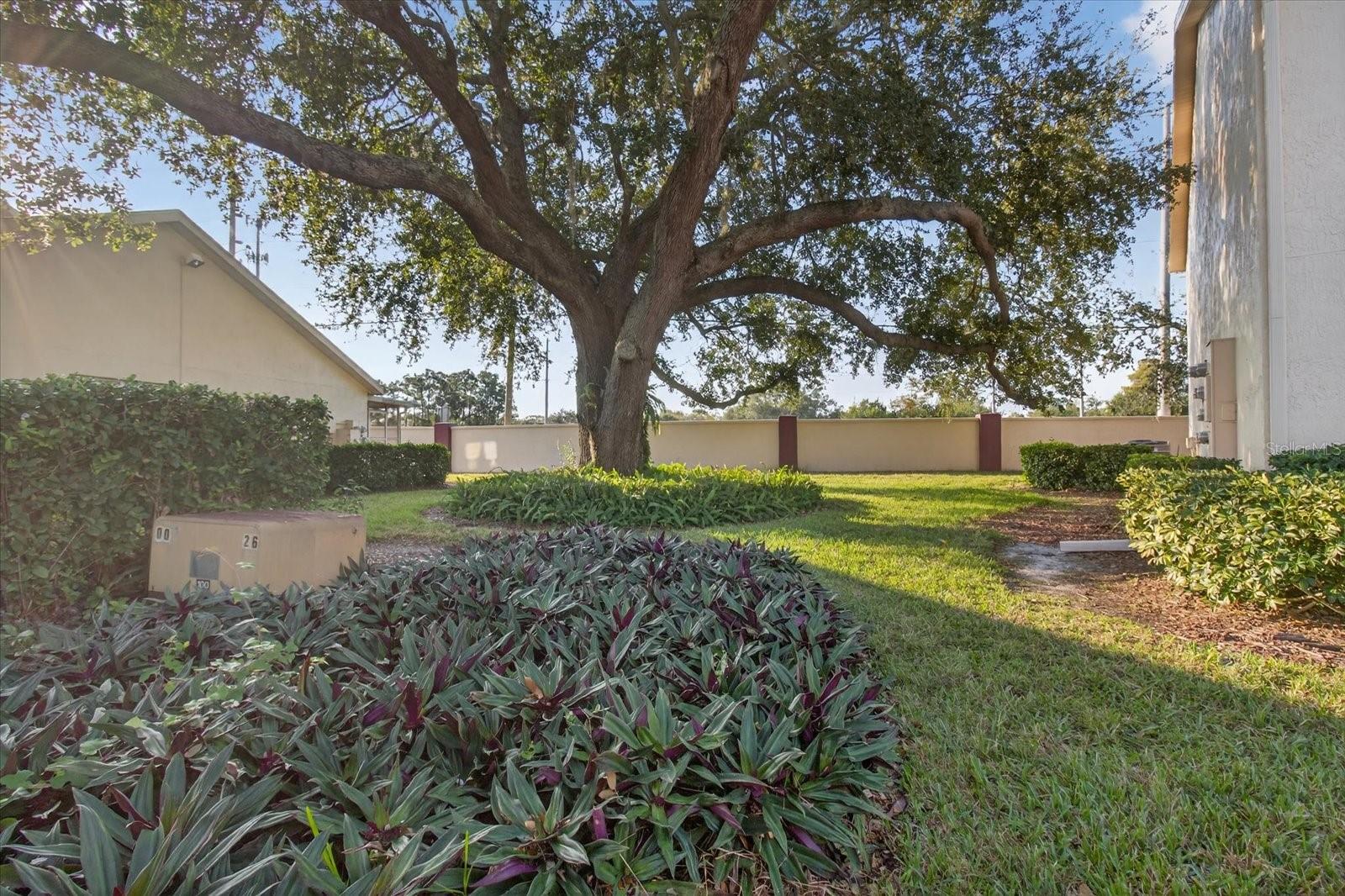 MILLPOND TRACE CONDO - Residential