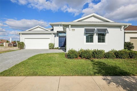 32289 WETLAND BIRD VIEW SAN ANTONIO FL 33576