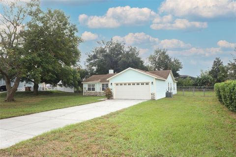 A home in WINTER GARDEN