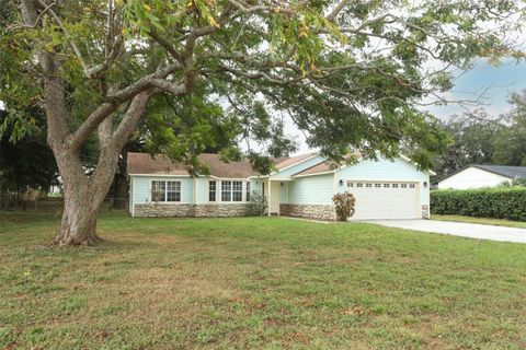 A home in WINTER GARDEN