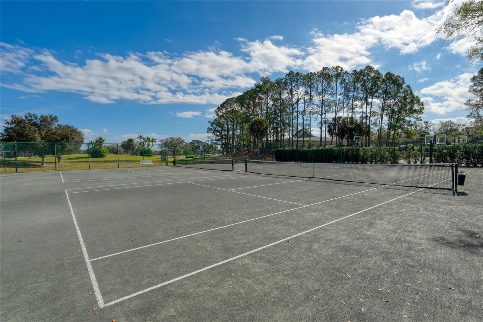 WINDSOR PARK AT THE EAGLES-FI - Residential